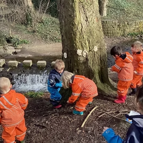 Forest school